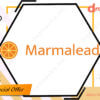 Marmalead group buy